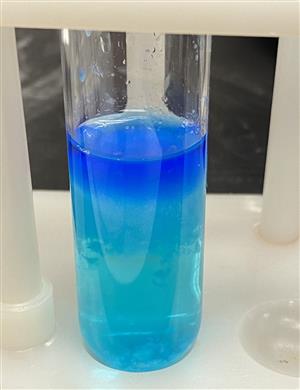 Science 5.2.24 2.jpg